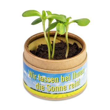 Maceta «Cup-U-Seed-O» con semillas